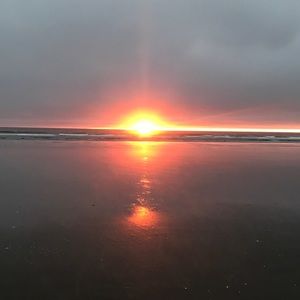 Meet your Posher, Olga